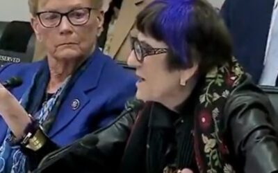 “You Don’t Have the Right to Say Climate Change is a Hoax!”- Purple-Haired Democrat LOSES IT as Lee Zeldin Schools Her on Two Landmark Supreme Court Cases (VIDEO)