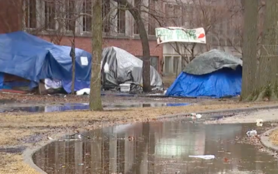 New Illinois Bill Pushed By Dems Would Override Local Rules on Homeless Encampments in Parks and Public Spaces
