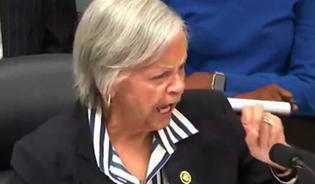 Unhinged Dem Congresswoman: “If We Wanted to Eliminate Abuse…We’d Eliminate the President of the United States From Office” (VIDEO)
