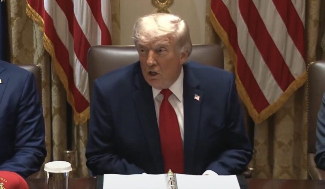 Trump Begins Cabinet Meeting with Victory Lap on His Perfect 118 for 118 Endorsement Record After More Primary Wins (VIDEO)