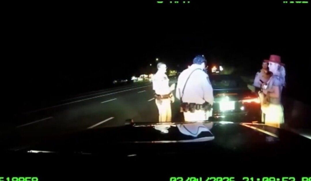 WATCH: Dashcam Footage Shows Britney Spears Arguing with Police During DUI Arrest