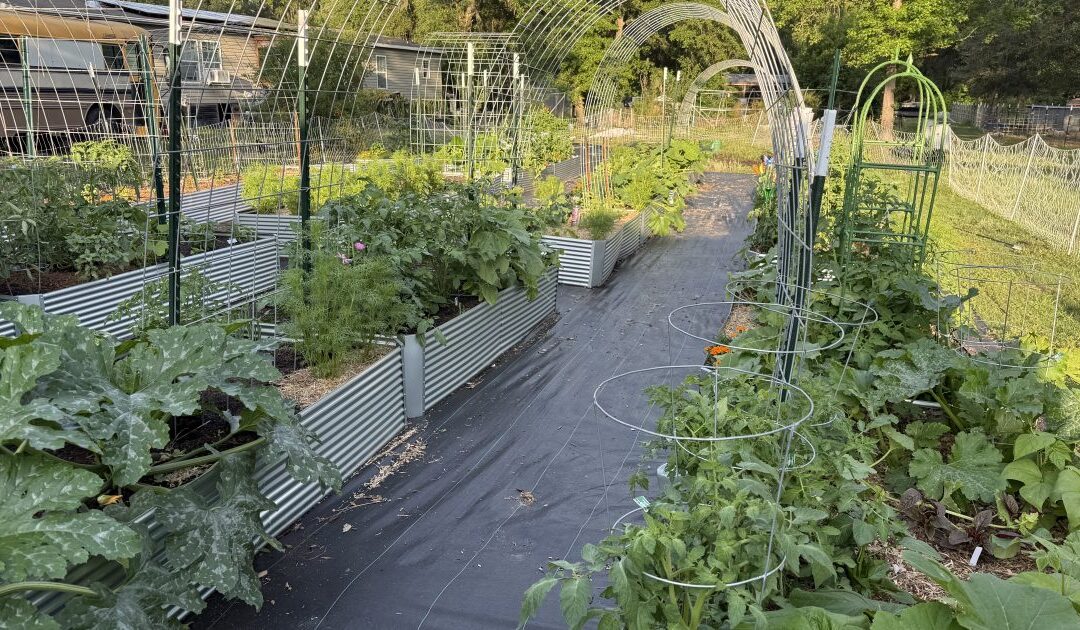 Fighting for Food Freedom: A Georgia Farmer’s Stand Against Bureaucratic Overreach