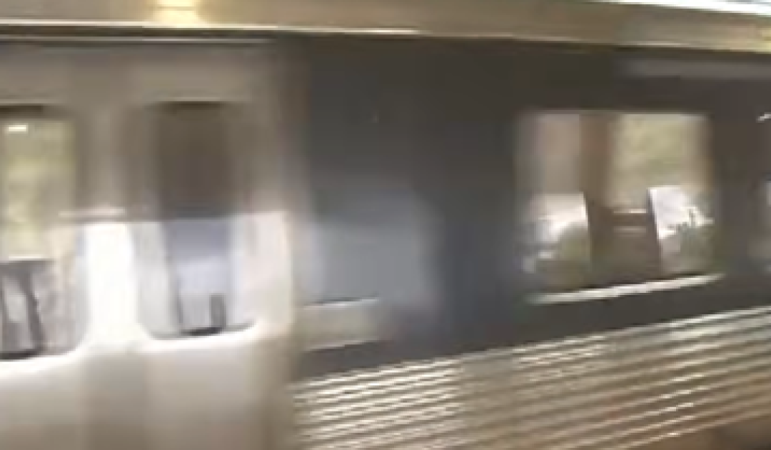 HORROR: Elderly Woman Brutally Stabbed to Death IN BROAD DAYLIGHT on Train In Atlanta – Suspect Identified and Arrested