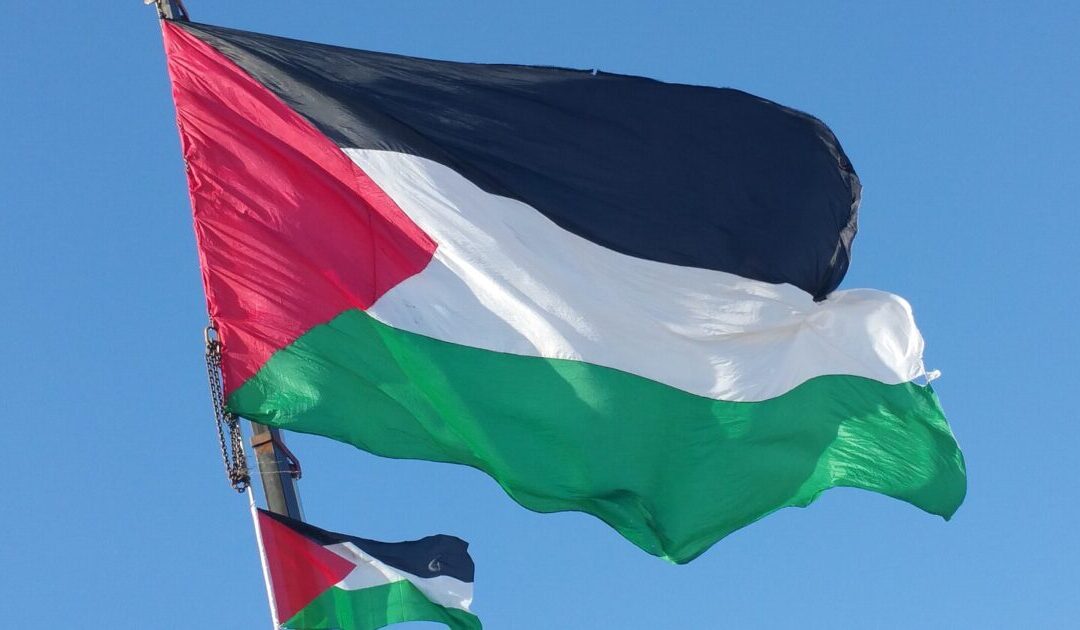 Watch: Pro-Gaza Libs Fall Apart When Tricked Into Watching Palestinians Torturing Jews in Oct 7 Videos