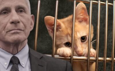 EXCLUSIVE: Fauci Moved Kitten Experiments into NIH After Trump Shut Down USDA Lab, New White Coat Waste Investigation Reveals They’re Still Active