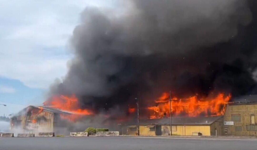 HORRIFIC: 11 Workers Killed in Massive Toxic Chemical Tank Implosion at Washington Paper Mill, All Victims Identified as Federal Probe Launches