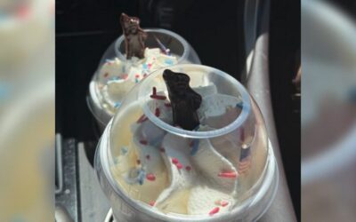 IT’S TRUE! Steak’n Shake Is Offering 25 Cent Shakes Today After US Soccer Win Last Night!