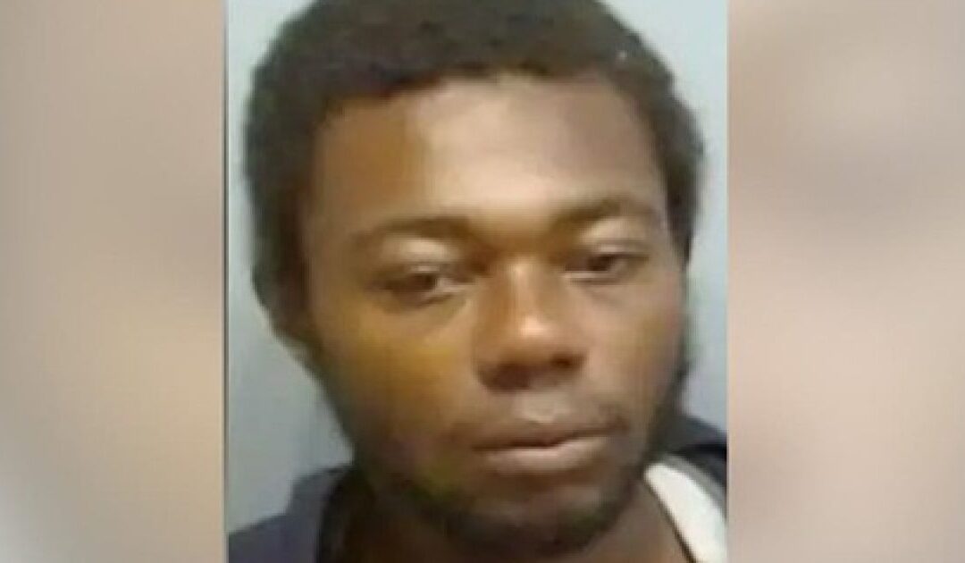 HORRIFIC New Details Emerge Regarding Brutal Murder of Great-Grandmother in Broad Daylight on Atlanta Train by Demented Thug
