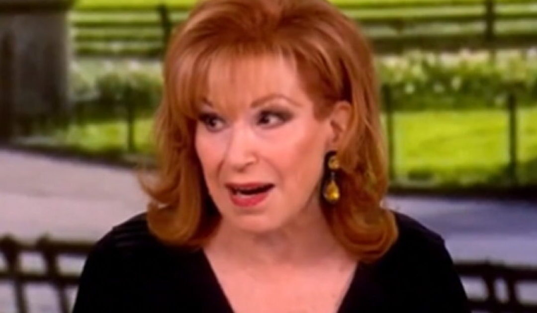 The Idiots of ‘The View’ Praise Their New Communist Overlords of the DSA (VIDEO)