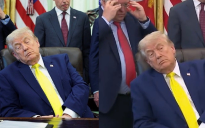 (VIDEO) Dems Falsely Claim Trump “Fell Asleep Multiple Times in the Oval Office” Yesterday and Call for 25th Amendment – White House Responds to “Dumbass Mouth-Breathers”