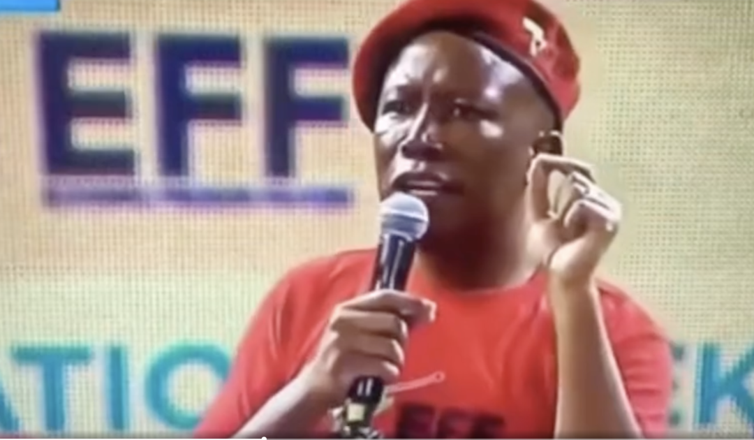 Jarring Video: South African Reveals What’s Actually Believed About Whites, And It Is Horrific