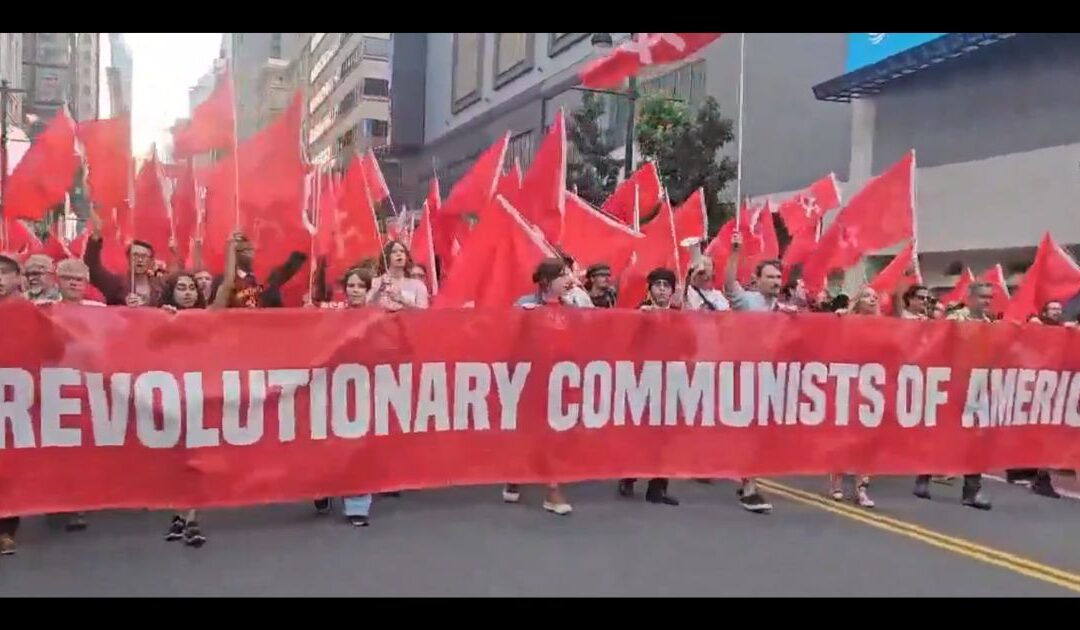 What Kind of Person Do the Democratic Socialists of America Attract? Viral Photos Show You Exactly the Type