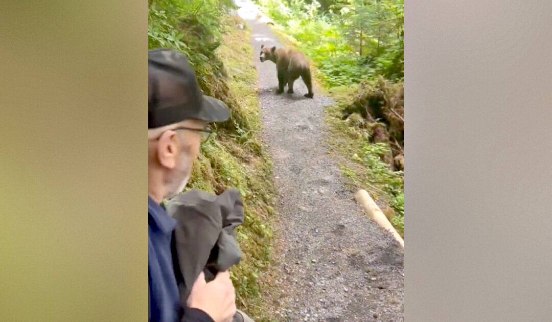 Hikers in Alaska Have Face-to-Face Encounter With Grizzly Bear in Terrifying Moment Caught on Viral Video