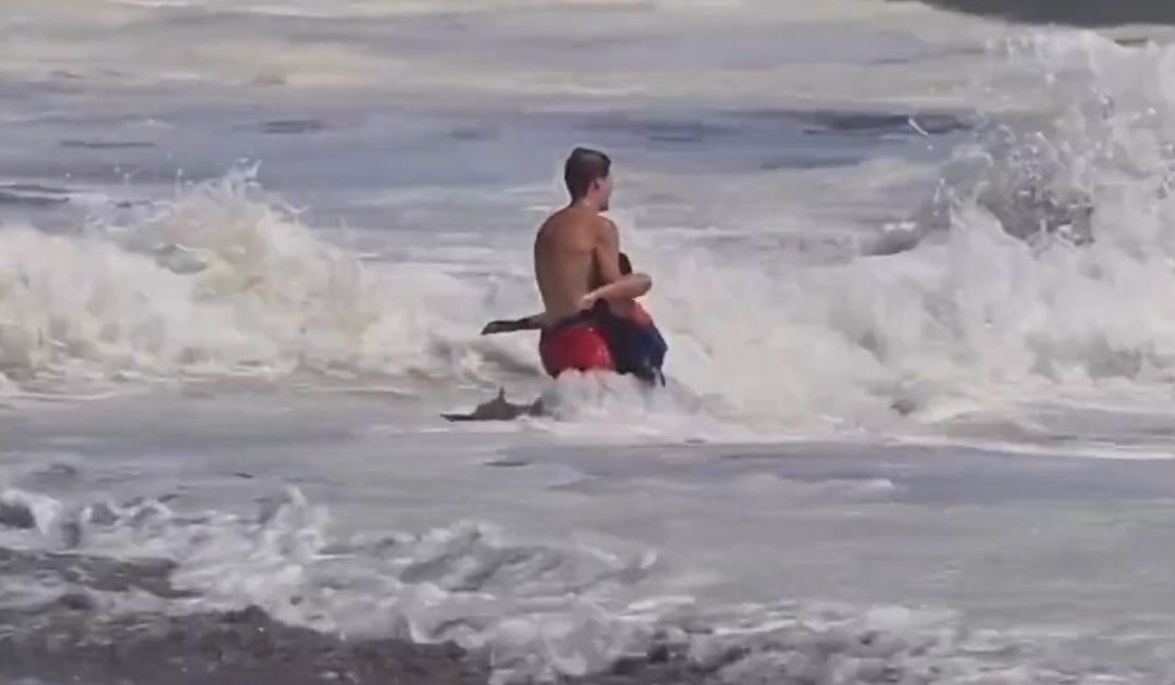 Eric Trump Calls For 16-Year-Old Lifeguard Who Rescued Boy From Violent California Waves to be Given Highest Civilian Honor (VIDEO)