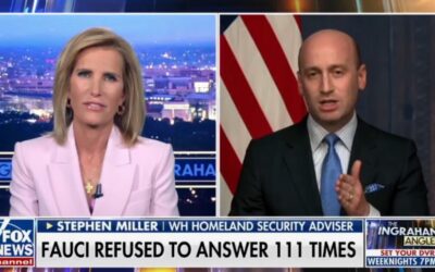 Stephen Miller Goes Off on Dr. Fauci After Explosive Senate Hearing (VIDEO)