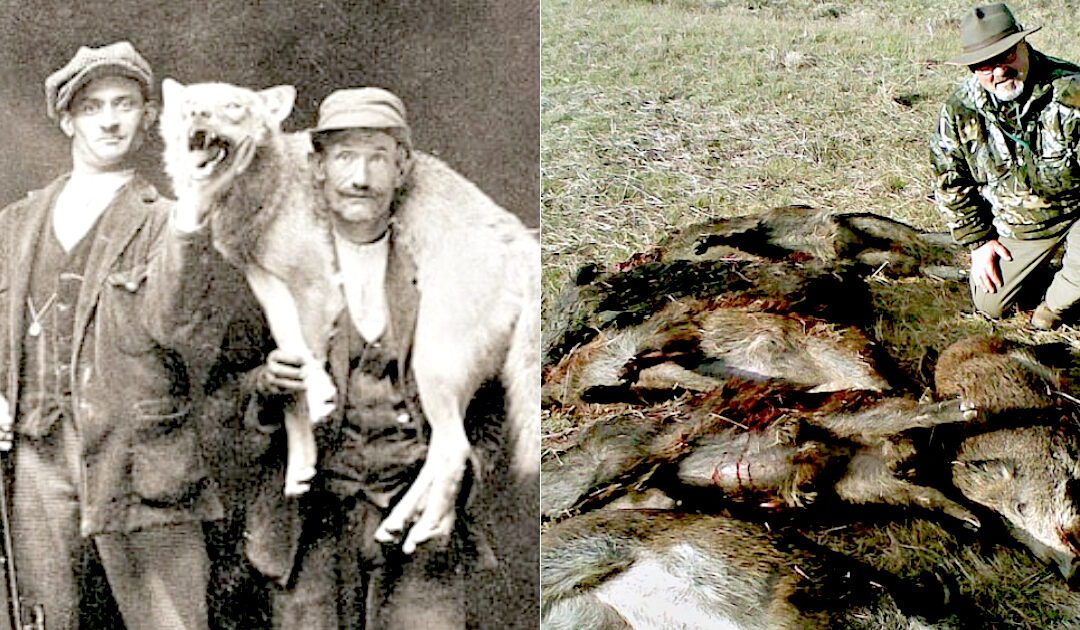 Italy’s Meloni Moves to Vastly Increase Hunters’ Rights With Legislation That Calls Them ‘Bioregulators’