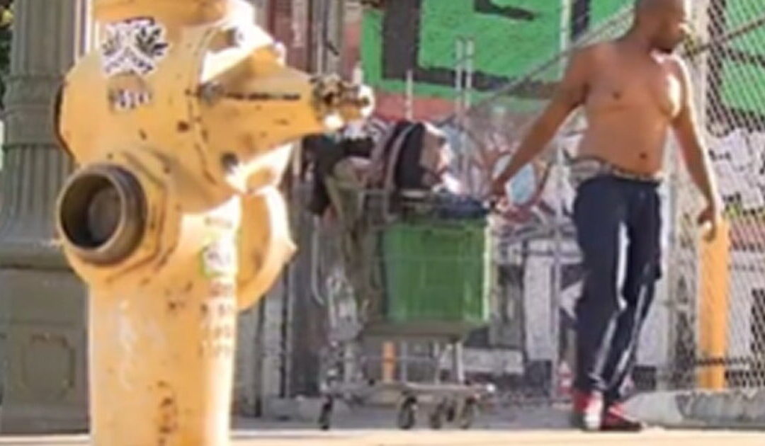 REPORT: The Number of Homeless People in Los Angeles is RISING Despite Billions in Spending (VIDEO)