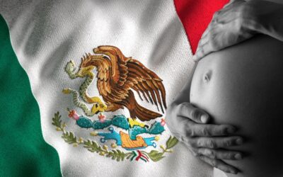 Posts Urging People to Call ICE on Pregnant Illegal Aliens to Prevent Anchor Babies Go Viral in the Aftermath of SCOTUS Birthright Decision