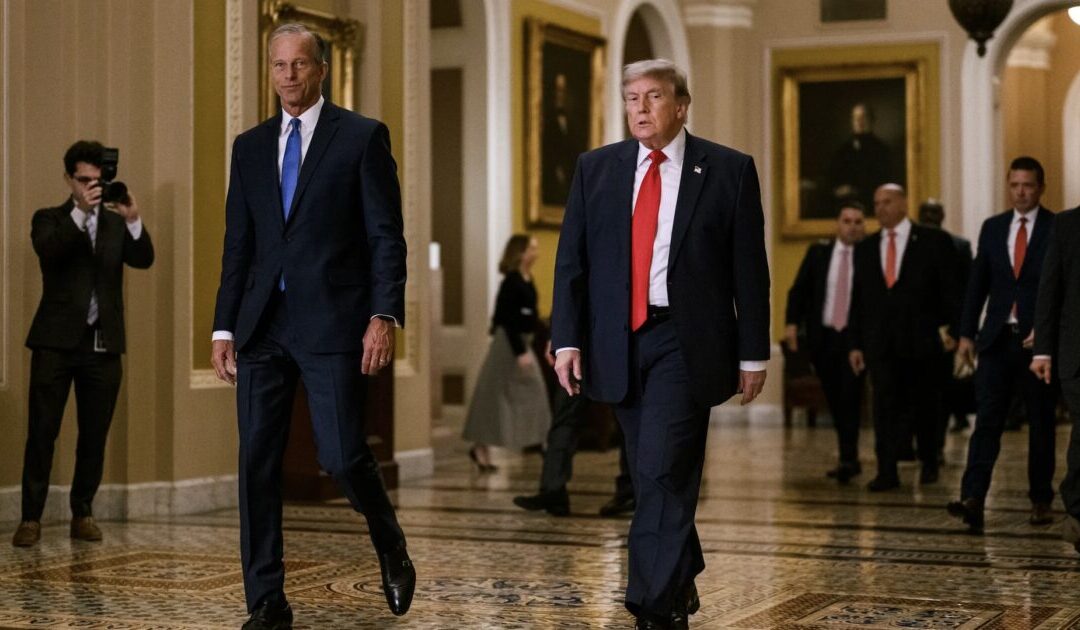 JUST IN: Trump Calls Out John Thune, Says Dems “Can’t Believe How Lucky They Got With This Senate Leadership”