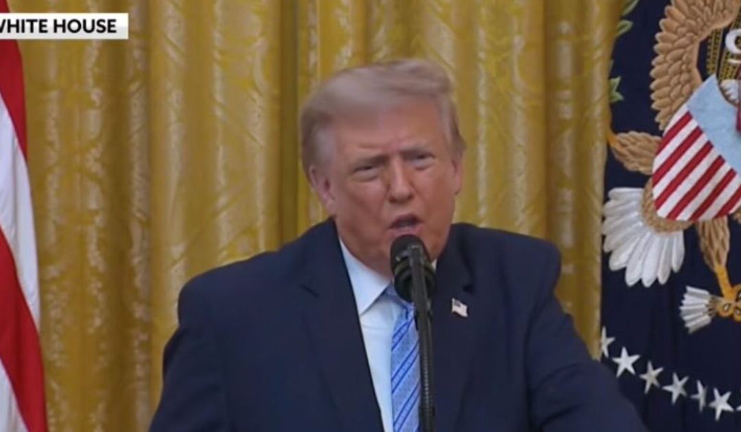 President Trump Posts Millions of Election Fraud Documents at WhiteHouse.gov – Discusses China’s Interference in US Elections