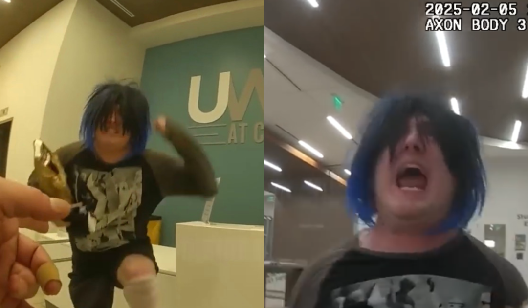 GOING VIRAL: Blue Haired Trans Student LOSES IT, Attacks Cops When Officer Misgenders Him – Gets Tased and Arrested (VIDEO)