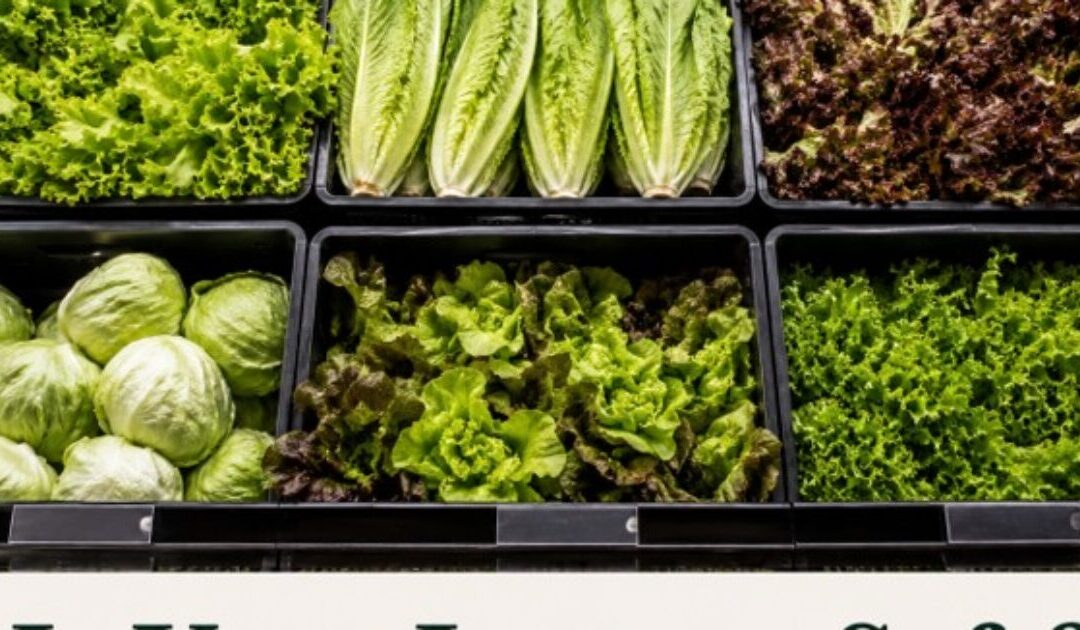 Is Your Lettuce Safe to Eat? Is Any of Your Produce Safe?