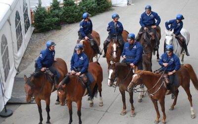 BELGIUM NARCO-DYSTOPIA: Prosecutor in Capital Brussels Is Lashing Out at the Lack of Resources to Fight Violent Drug Gangs