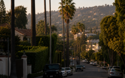 California Democrats Overwhelmingly Back Billionaire Tax Ahead of High-Stakes November Ballot
