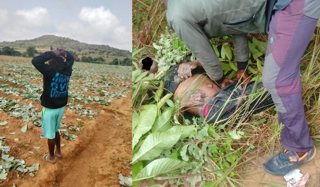 Fulani Roadside Ambushes and Farm Destruction Continue Amid Nigeria’s Christian Persecution