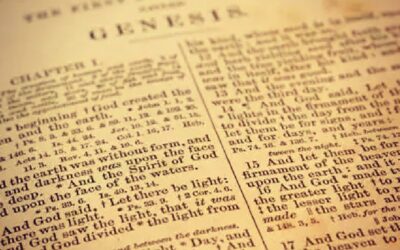 Catholic Mount St. Mary’s University in Maryland Requires Course That Teaches the New Testament Through ‘Racial Justice’ Lens