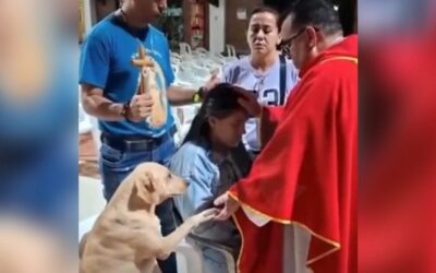 So Sweet! A Dog Named Simon Joins in Intercessory Prayers at a Catholic Church – And There’s More Video