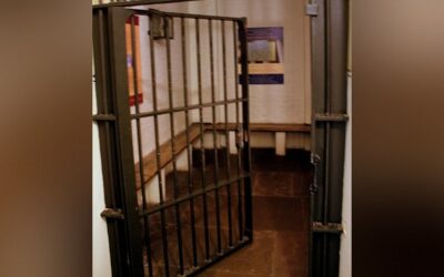 NEW: In the UK, 50 Police Chiefs Unite To Pressure PM Burnham and Fight Early Release of Criminals