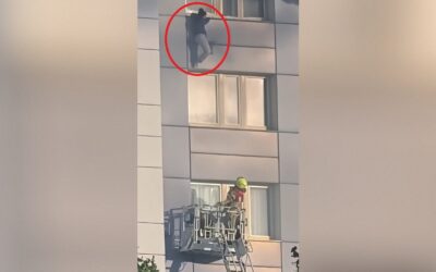 WATCH: Berlin Woman Trapped in the 11th Floor of a Burning Building Leaps Into Firefighter’s Arms in Terrifying Scene