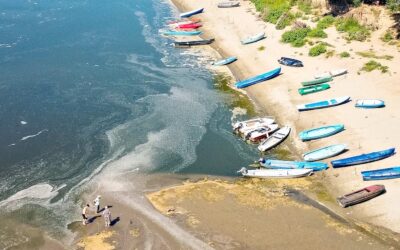 EUROPE HEATWAVE CHAOS: Drought at Danube River Forces Hungary and Romania to Cut Nuclear Power Output