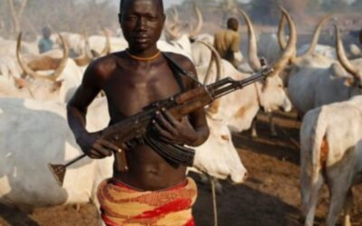 Nigeria Christian Community Leader Alleges Land-Grab Agenda Behind Massacres