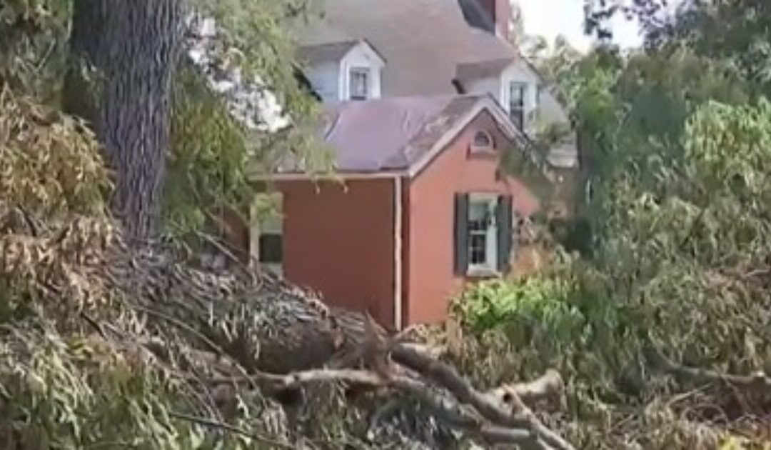 The Left Cries ‘Racism’ as Residents in Majority-Black City Have Been Left Without Power for Two Weeks – Then Community Notes Reveals the Damning Truth