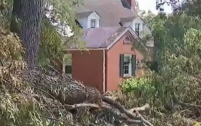 The Left Cries ‘Racism’ as Residents in Majority-Black City Have Been Left Without Power for Two Weeks – Then Community Notes Reveals the Damning Truth