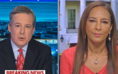 Harmeet Dhillon Details Efforts at DOJ to Make Sure Only American Citizens Are Voting (VIDEO)