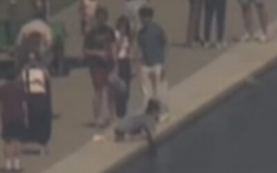 (VIDEO) Trump Posts More Footage of Reflecting Pool Vandalism After Pirro Flop: “Look for yourselves at the VANDALISM” – Burgum Also Slams US Attorney
