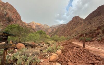 DEVELOPING: More Than 20 People Missing After Flash Flood Rips Through Grand Canyon in Arizona
