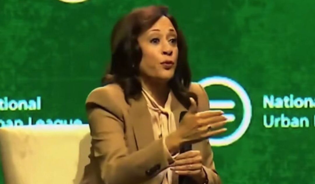 Dolt Kamala Harris Promises to Destroy America If Elected – Including Expanding SCOTUS, Dump the Electoral College, Give DC and Puerto Rico Statehood (VIDEO)