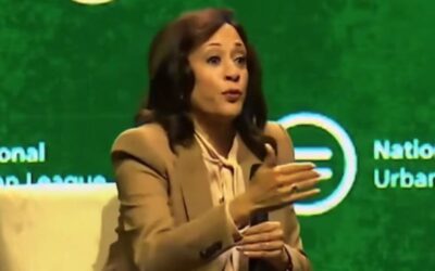 Dolt Kamala Harris Promises to Destroy America If Elected – Including Expanding SCOTUS, Dump the Electoral College, Give DC and Puerto Rico Statehood (VIDEO)
