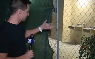 Public Restroom in Los Angeles That Cost $1 MILLION to Build, Still Not Open Six Months After Completion (VIDEO)