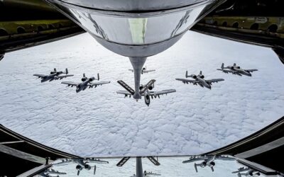 Hierarchy of Power: National Guard vs. Department of War in the Matter of Colonel Leslie Zyzda-Martin—and Countless Others