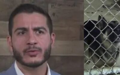 Far-Left Democrat Candidate Abdul El-Sayed Oversaw ‘Slaughterhouse’ that Killed Thousands of Dogs and Cats Under His Watch