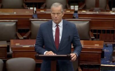 BETRAYAL IN THE SWAMP: Turncoat John Thune Sends Senate Home for 37 Days — But Schedules 11 Pro Forma Sessions to BLOCK Trump from Making Recess Appointments