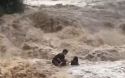 SCARY: Multiple Tourists in Thailand Caught in Waterfall Just as a Flash Flood Hits (VIDEO)
