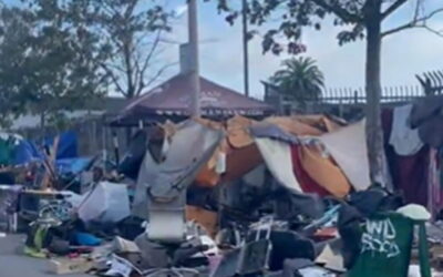 Woman Dropping Her Son Off for College at UC-Berkeley Stunned by Tons of Homeless Tents and Garbage Around Dorms (VIDEO)