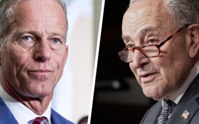 “FORGET the Filibuster, NUKE the United States Senate!” – Anger And Frustration With The Upper Chamber Is Felt Nationwide