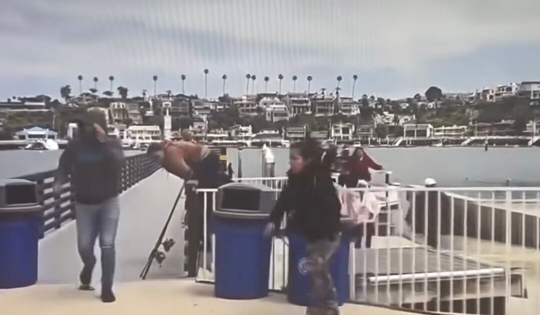 Watch: Rich CA Dems Get Taste of Own Medicine as Boat Quietly Docks and Suspected Illegals Suddenly Hop Out, Melt Into Neighborhood